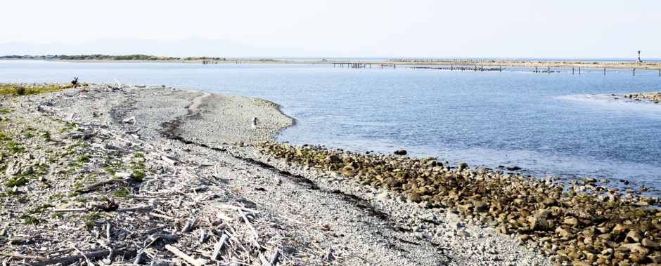 _mg_3801.jpg
